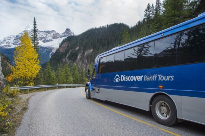 Banff: Grizzly Bear Refuge Tour With Lunch - Gondola Ride and Lunch