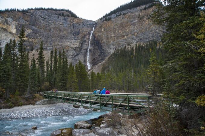 Banff: Grizzly Bear Refuge Tour With Lunch - Grizzly Bear Refuge Visit