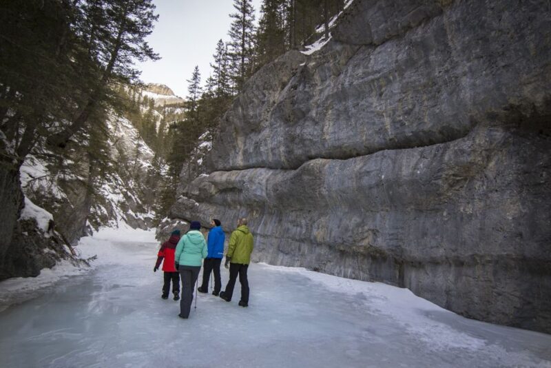 Banff: Grotto Canyon Icewalk - Departure Point and Pickup