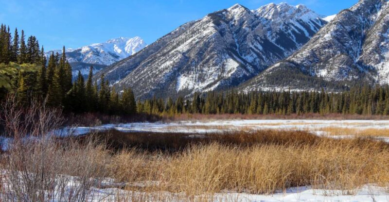 Banff: Historic Cave & Basin Self-Guided Walking Audio Tour - Key Points