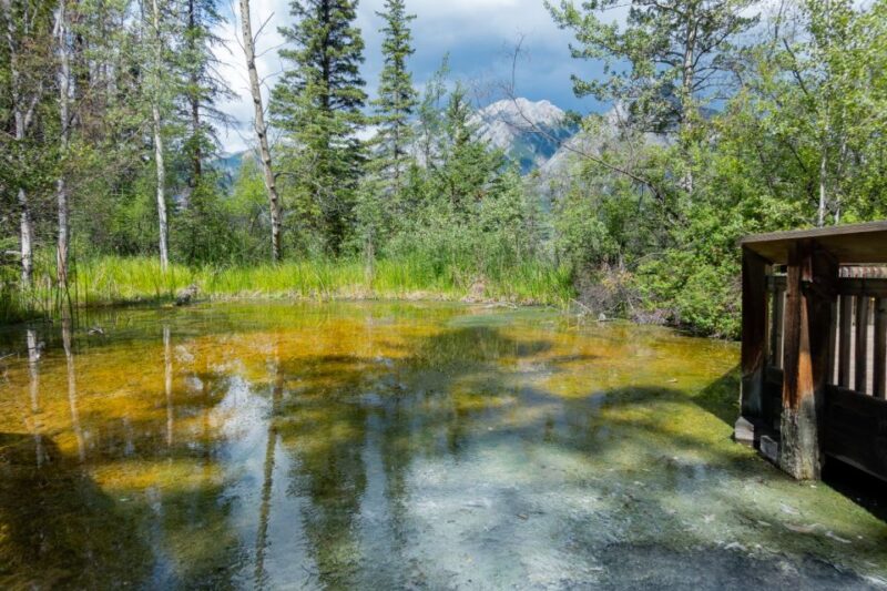 Banff: Historic Cave & Basin Self-Guided Walking Audio Tour - Support and Customer Feedback