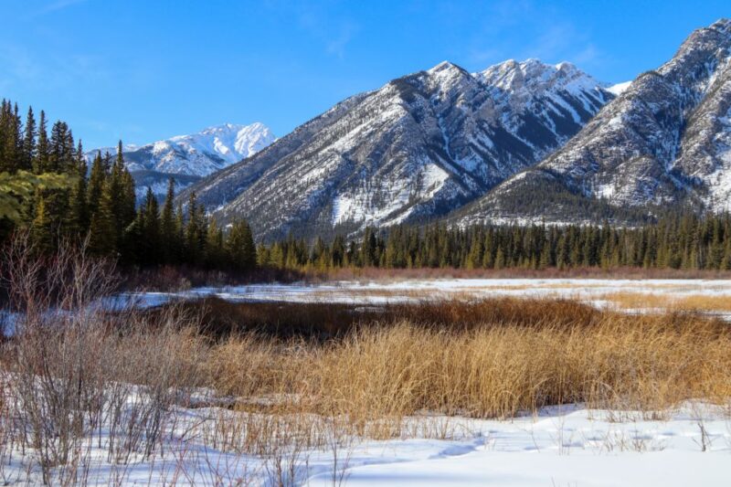Banff: Historic Cave & Basin Self-Guided Walking Audio Tour - Taking in Banffs Wilderness