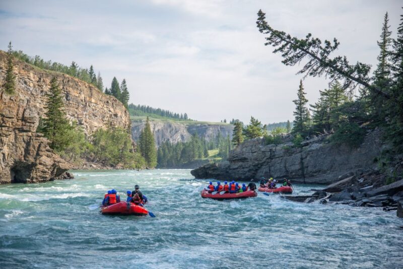 Banff: Horseshoe Canyon Whitewater Rafting Tour - Activity Highlights