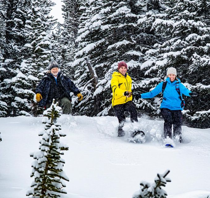 Banff/Jasper: Canadian Rockies Helicopter & Snowshoe Tour - Exploring the Canadian Rockies