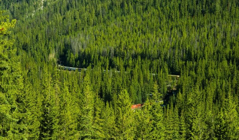 Banff: Lake Louise, Moraine Lake, and Emerald Lake Tour - Transportation and Itinerary