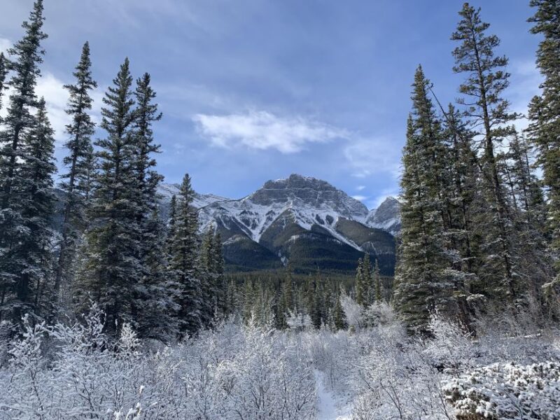 Banff: Local Legends and Landmarks - History Tour 1.5hrs - Booking Information