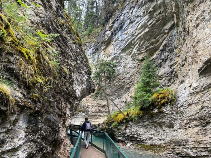 Banff: Louise & Moraine Lake or Johnston Canyon 1/2 Day Tour - Who Would Enjoy This Tour?
