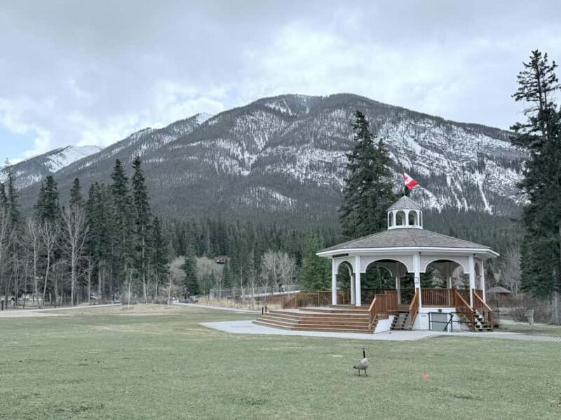 Banff: Moraine, Peyto, Bow, Lake Louise & Johnston Canyon - The Sum Up