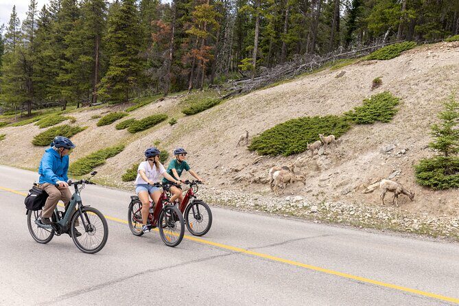 Banff Mountain Lakeside - E-bike Tour - Key Points