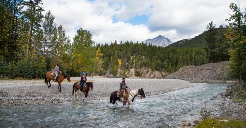 Banff National Park: 1-Hour Spray River Horseback Ride - Customer Ratings and Feedback