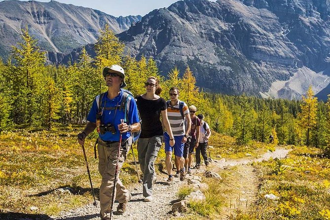 Banff National Park Guided Hike With Lunch - Four Iconic Trail Options
