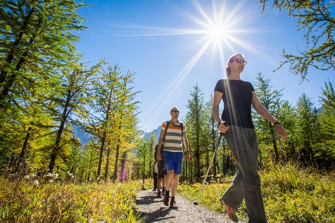 Banff National Park Guided Hike With Lunch - Age and Fitness Requirements