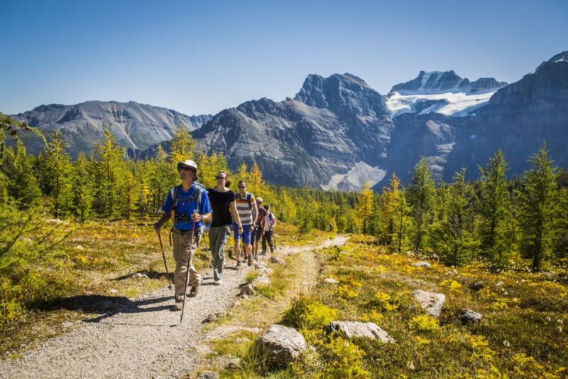 Banff National Park: Guided Signature Hikes With Lunch - Age Restrictions