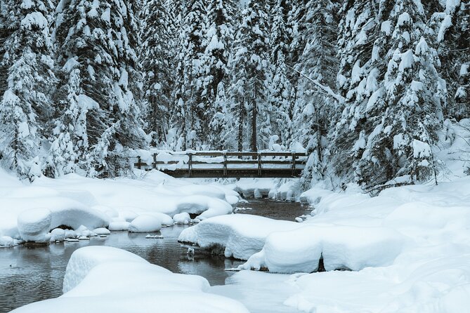 Banff National Park & Lake Louise FULL DAY PRIVATE TOUR - Transportation Options