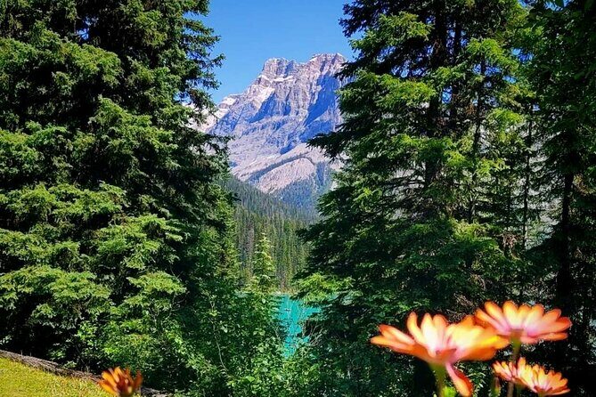 Banff National Park Moraine Lake and Lake Louise Explorer Tour - Authentic Experiences and Tips