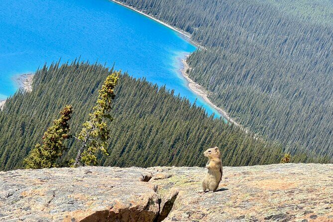 Banff National Park Small Group Tour with Expert Guide - Authentic Experiences and Honest Feedback