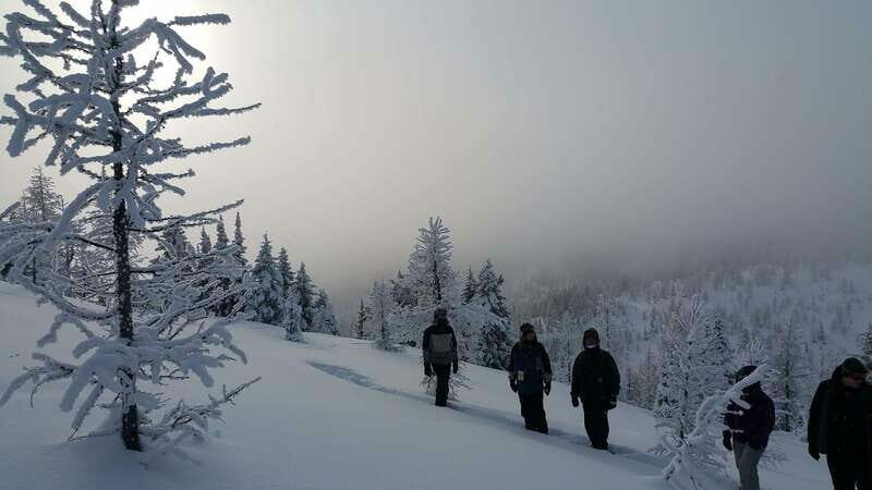 Banff National Park: Sunshine Meadows Snowshoeing Experience - Is This Tour Worth It?