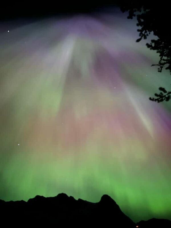 Banff Night Sky: Northern Lights and/or Stargazing Tour - What’s Included and What to Bring