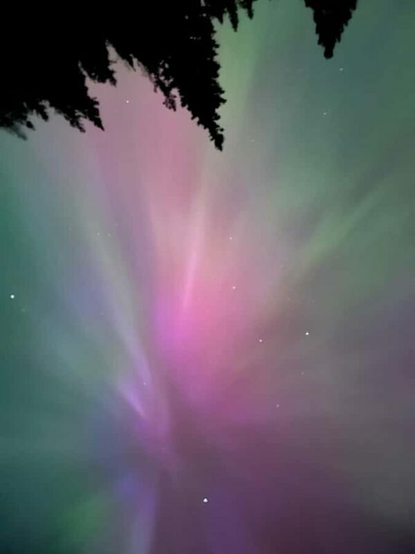 Banff Night Sky: Northern Lights and/or Stargazing Tour - Final Thoughts
