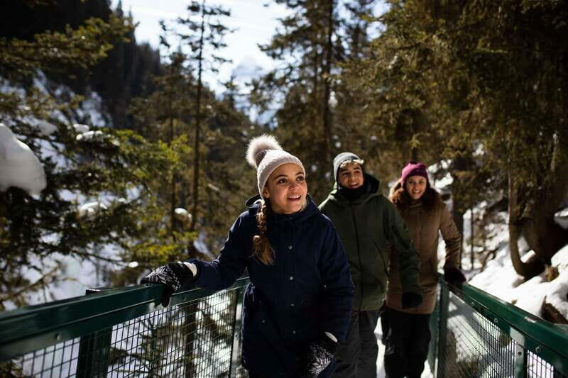 Banff: Premium Johnston Canyon Frozen Falls Guided Adventure - Who Will Love This Tour?