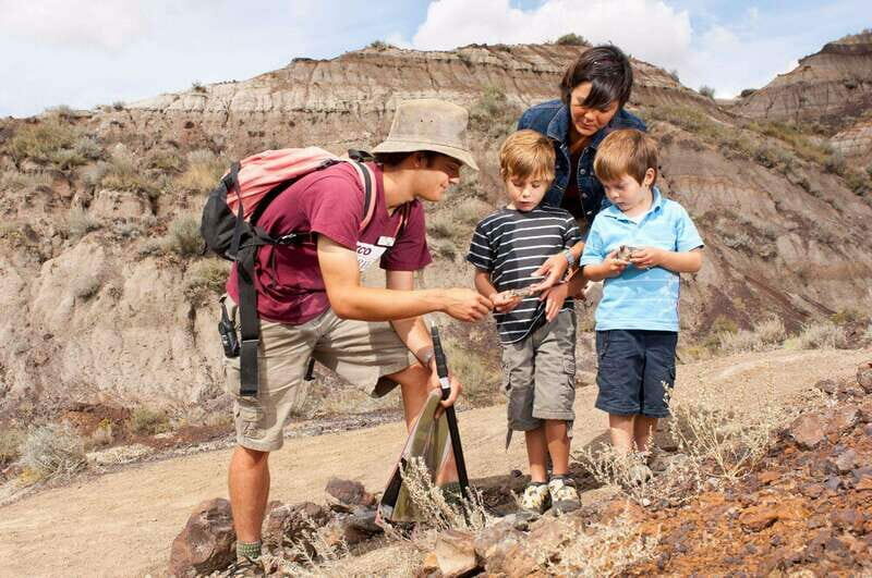 Banff: Private Badlands Tour with Royal Tyrrell Museum - Key Points