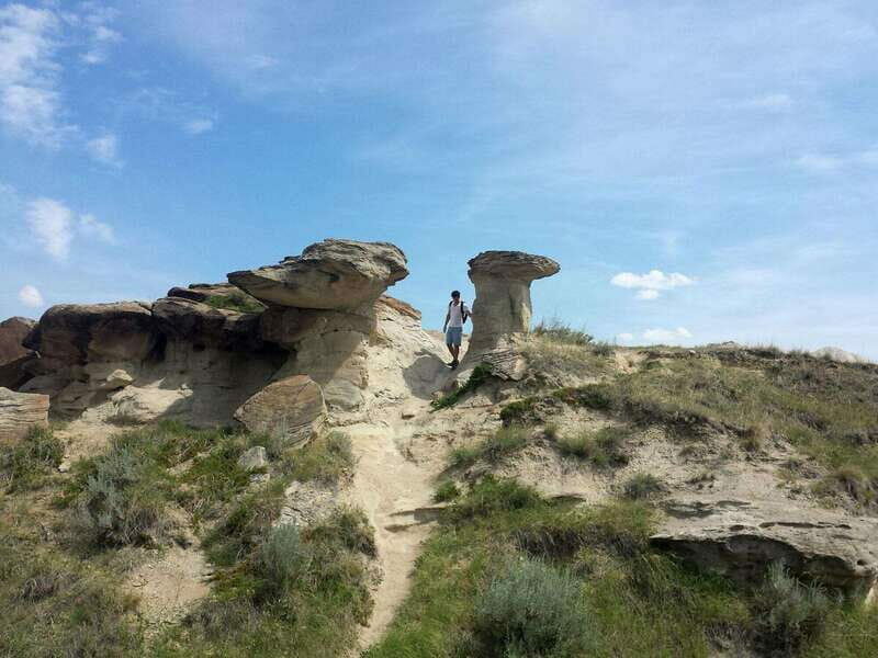 Banff: Private Badlands Tour with Royal Tyrrell Museum - The Experience: What to Expect