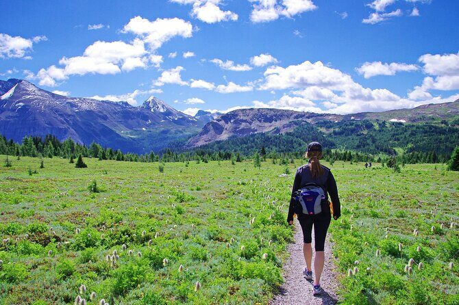 Banff: Private Guided Nature Walk - 2H - An In-Depth Look at the Private Guided Nature Walk