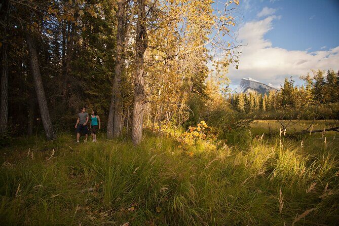 Banff: Private Guided Nature Walk - 2H - Who Would Love This Tour?