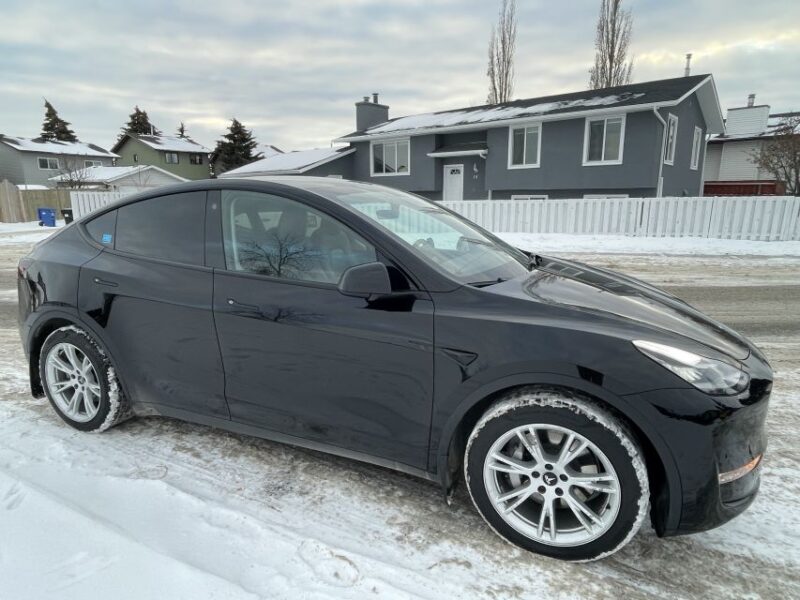 Banff to Calgary YYC Airport (Private Transfer With Tesla) - Transportation Highlights