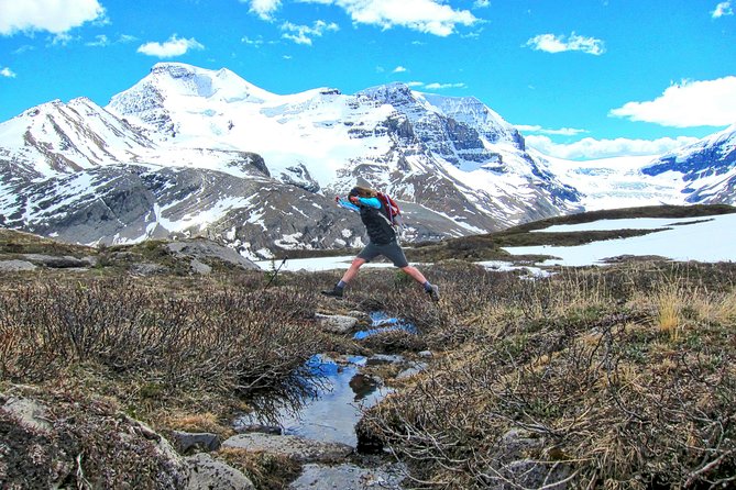 Banff to Jasper One-Way Tour - Comfortable Transport and Pickup