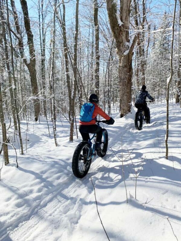 Banff Top Sights via Electric Fat Bike Tour All Skill Levels - Discovering Banff on Two Wheels: What This Tour Offers