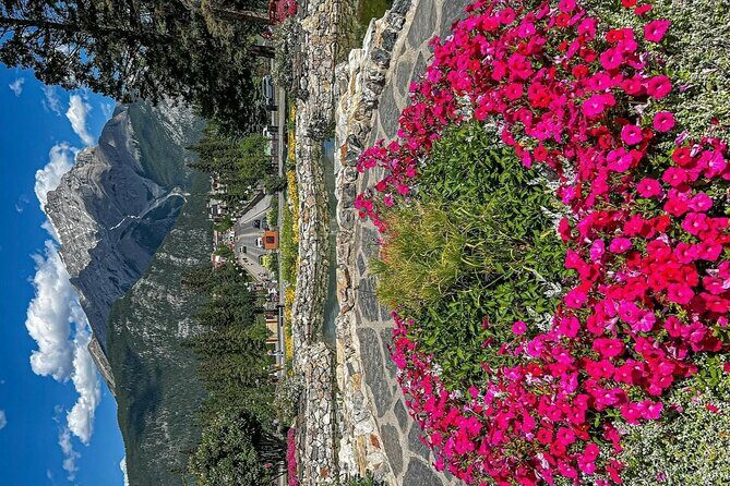 Banff Town Walking Tour Includes Refreshment and Sweet Treat - The Value of This Experience