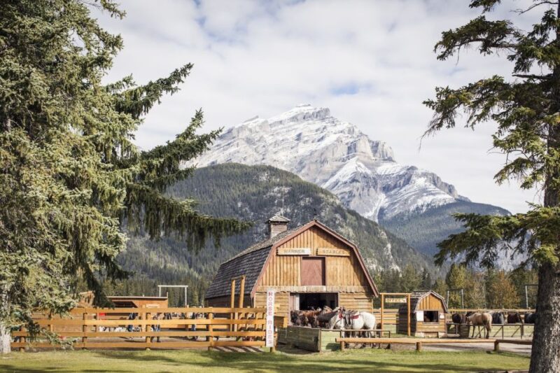 Banff: Wagon Ride With Cowboy Cookout BBQ - Itinerary Details