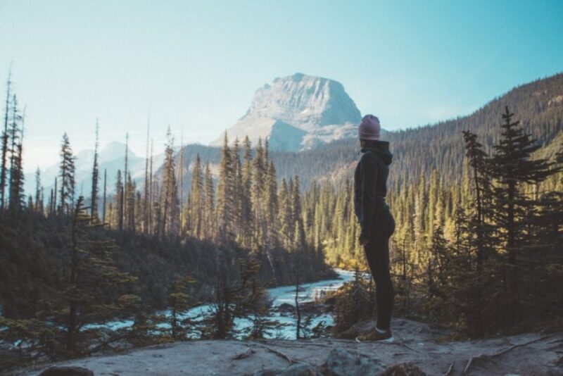 Banff: Waterfalls Tour in Banff & Yoho National Parks - Tailored Itinerary Preferences