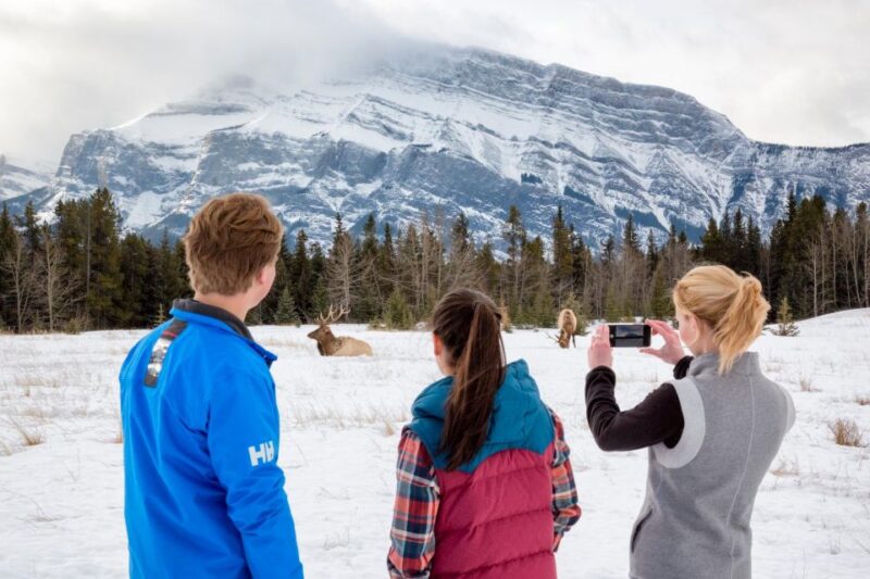 Banff: Wildlife and Sightseeing Minibus Tour - Itinerary and Highlights