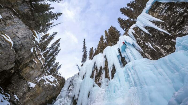 Banff: Winter Day Tour with Banff Gondola & Johnston Canyon - Key Points