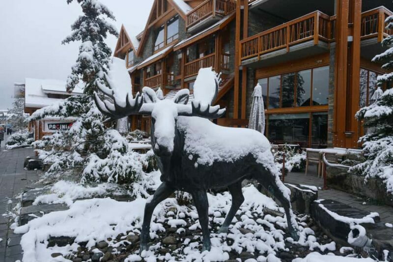 Banff with Gondola, Minnewanka Cruise, Hot Spring & 3 Lakes - An In-Depth Look at the Tour Experience