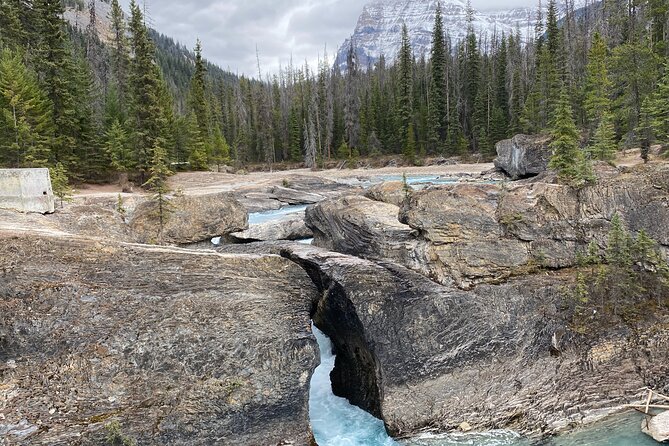 Banff & Yoho Parks | Lake Louise | Moraine Lake | Emerald Lake - PRIVATE TOUR - Banff & Yoho Parks
