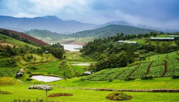 Bangalore, Mysore With Ooty Tour (05 Nights / 06 Days) - Prohibited Items