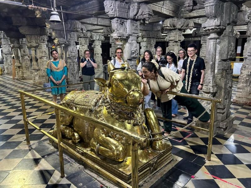 Bangalore Through the Ages - Full-Day Tour With Lunch - Itinerary Highlights