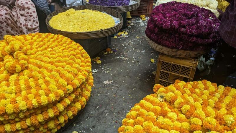 Bangalore Walking Tour KR Flower Market,Fort,Tippu palace - Final Thoughts