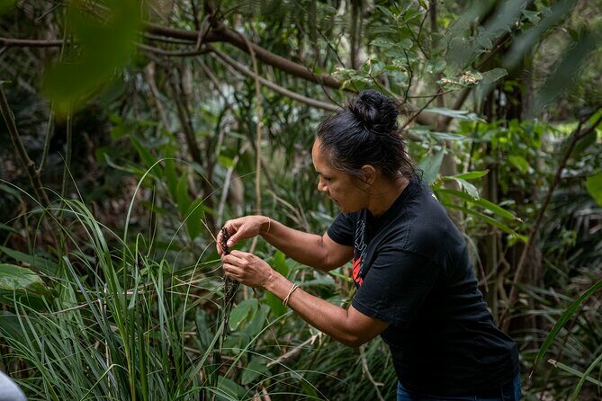 Bangalow Native Bush Food Tour - The Sum Up