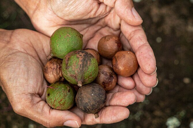 Bangalow Native Bush Food Tour - FAQ