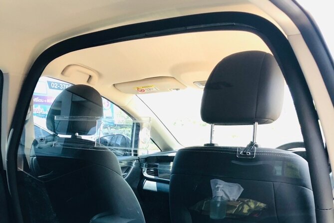 Bangkok: 100% Electric Bangkok Airport Private Transfer - Accessibility and Suitability