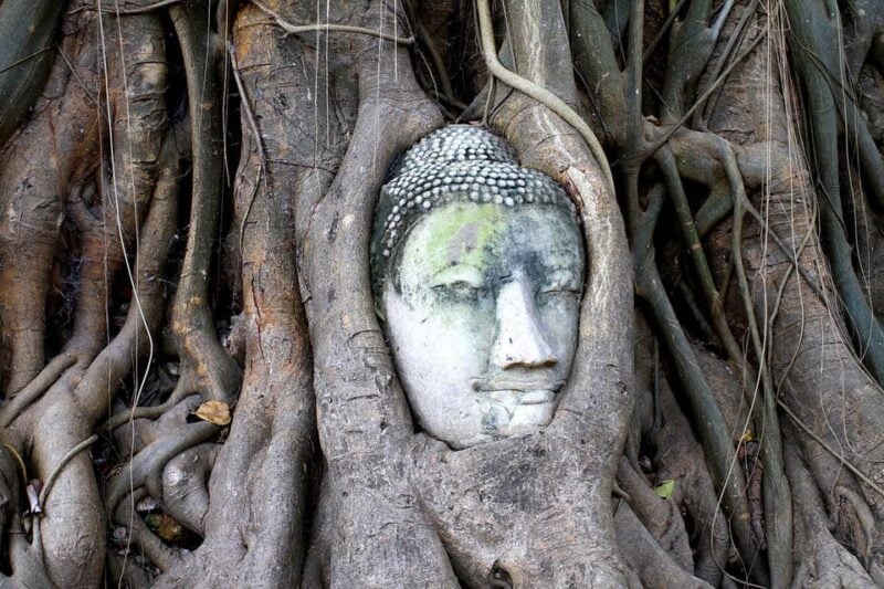 Bangkok: Audio Guides for Bangkok, Chiang Mai & Ayutthaya - Flexible Reservation and Cancellation