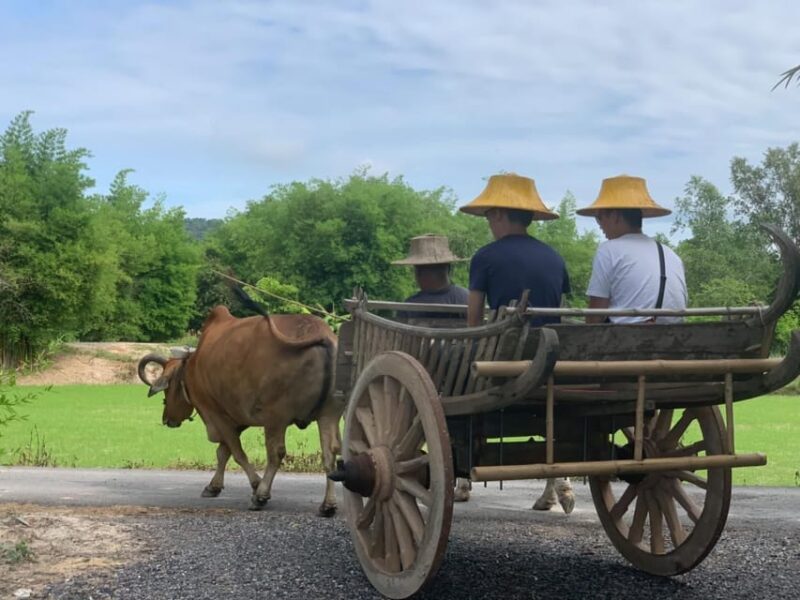 Bangkok: Authentic Thai Cooking Class and Local Lifestyle - Key Points
