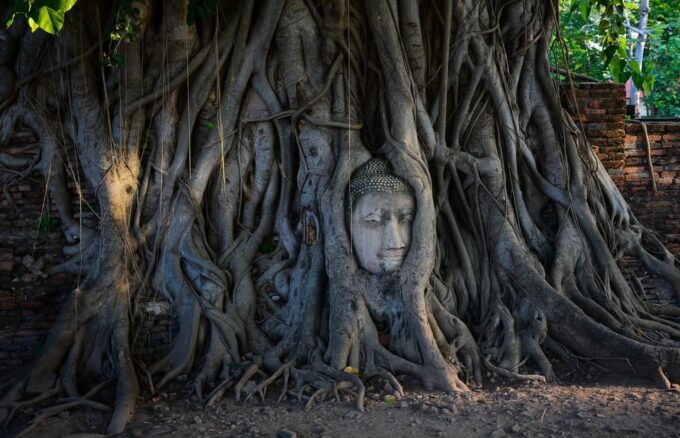 Bangkok: Ayutthaya Private Guided Tour With Hotel Transfer - Frequently Asked Questions