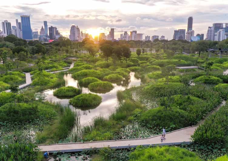 Bangkok Bicycle Rental Benjakitti Park - Park Highlights