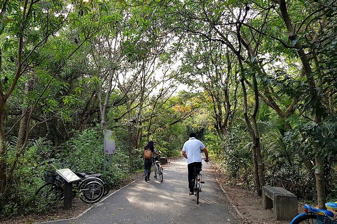 Bangkok Countryside Bicycle Tour With Transportation and Lunch - Lunch Experience