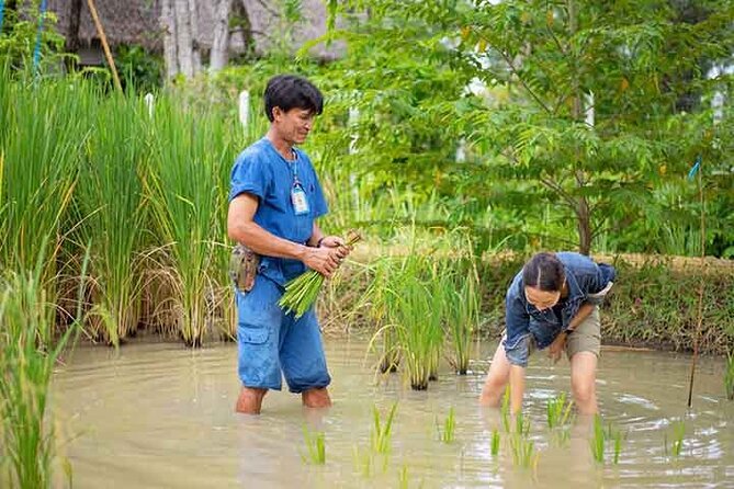 Bangkok Damnern Saduak Floating Market, Thai Cultural Workshop & Organic Village - Thai Cultural Workshop
